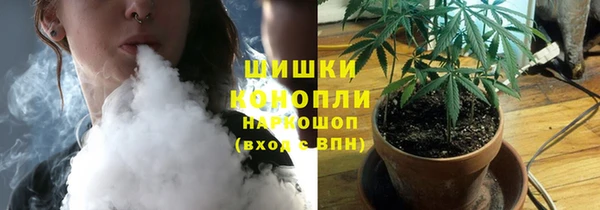 a pvp Заводоуковск