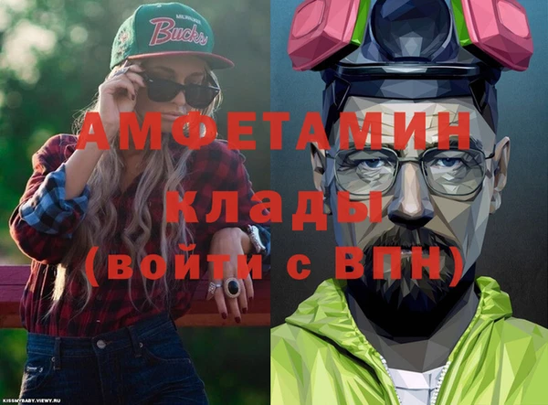 стаф Гатчина