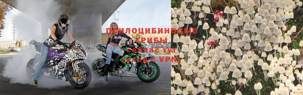 СК Галич